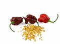 Carolina Reaper Chocolate seeds