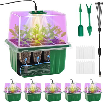 CHILLI SEEDS and GROW BOXES
