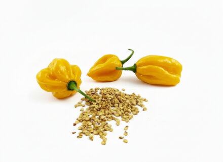 Habanero Yellow seeds