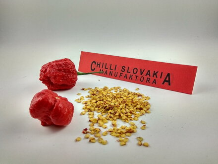 Trinidad Scorpion Red seeds
