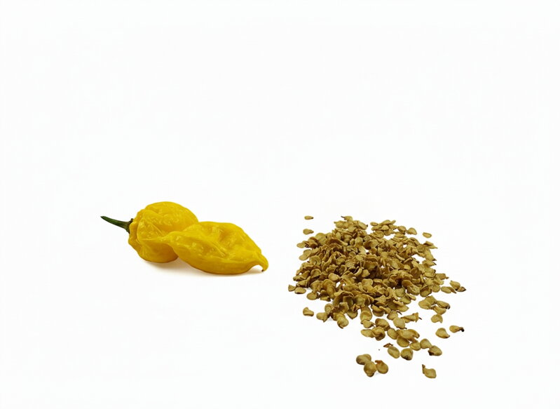Bhut Yolokia Yellow seeds