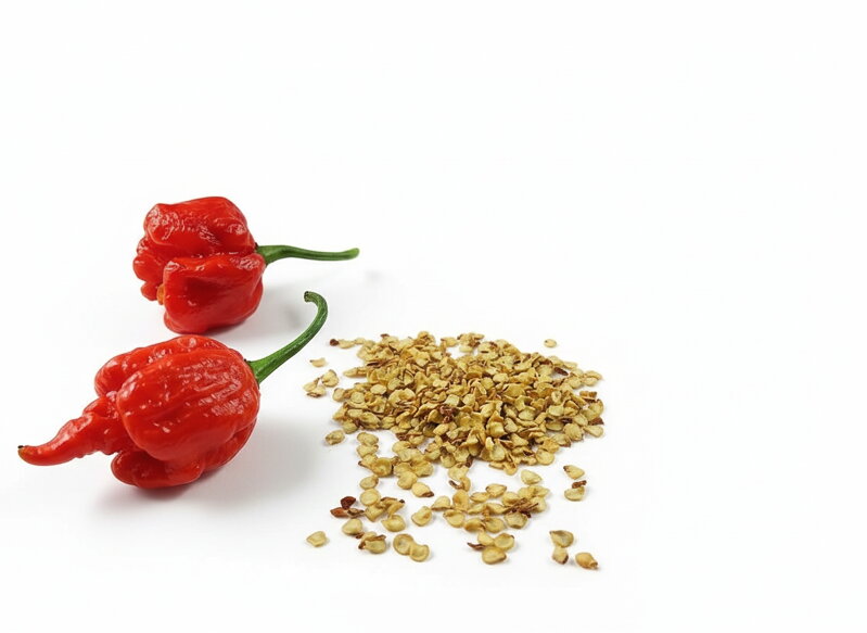 Dragons Breath seeds