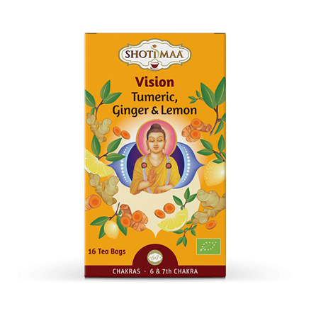 Vision - Tumeric, Ginger & Lemon 16x2g